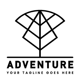 NG体育2